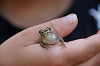 camp30 (205)_thumb.png